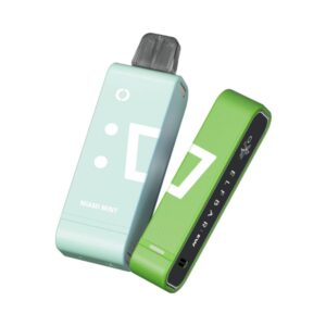 Elf bar 9.000 puffs